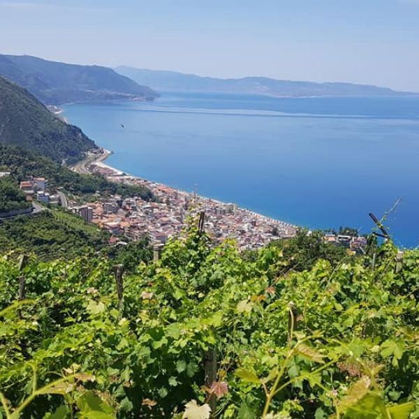 Bagnara debutta alla BIT di Milano e lancia l’offerta 2026 