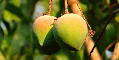 Reggio Mango 1 666391d9 - Meraviglie di Calabria - 29