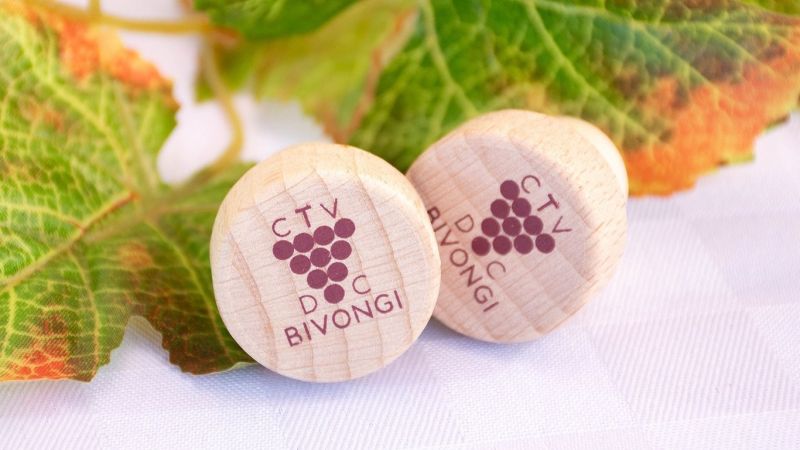 Consorzio vini Bivongi Doc cover 2 67034ff2 - Consorzio Bivongi DOC a ProWein, vetrina mondiale per il vino - 1 Consorzio Bivongi DOC a ProWein, vetrina mondiale per il vino
