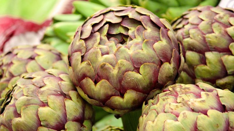 Ladispoli, i prodotti calabresi alla sagra del Carciofo romanesco