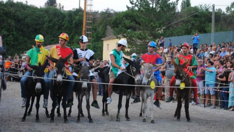 palio cu i ciucci laino borgo 1280x720 2 68f1a058 - Laino Borgo: XXV Edizione del Palio Cu i Ciucci - 1 Laino Borgo: XXV Edizione del Palio Cu i Ciucci