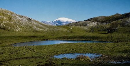 Pollino Masistro cover 69c14f97 - Meraviglie di Calabria - 27