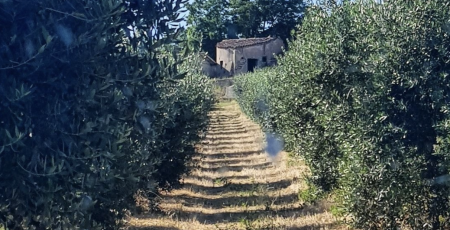 Agricola Doria 1 e1680130650977 6af59bac - Meraviglie di Calabria - 16