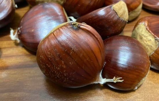 Castagne cover 6b80aaaa - Meraviglie di Calabria - 1