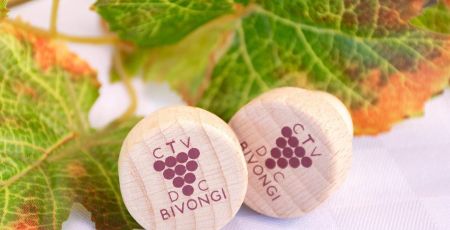 Consorzio vini Bivongi Doc cover 1 6b75c9ff - Meraviglie di Calabria - 32