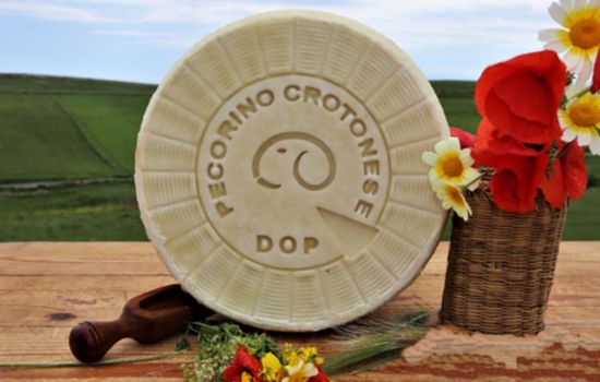 pecorino crotonese 1 1 6c468860 - Meraviglie di Calabria - 1