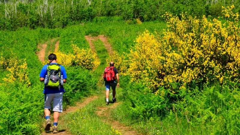 f2fdbce3 8e8f 48b7 a059 f10ce85695bd 6d73711c - Dall'Aspromonte alle Serre, percorrendo il Sentiero del Brigante - 1 Dall’Aspromonte alle Serre, percorrendo il Sentiero del Brigante