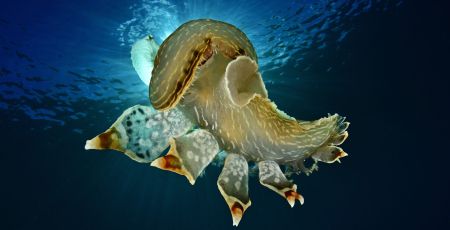 Mare Ph Francesco Sesso 6e65fc3c - Meraviglie di Calabria - 4