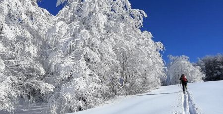 Sila neve ph Cammina Sila 17 6e69c30a - Meraviglie di Calabria - 11