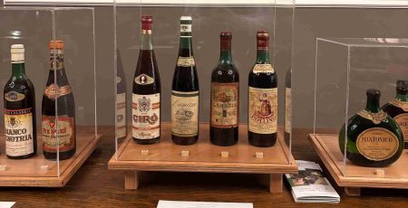 Vino antiche etichette Calabria Wild Wine 8 a scaled 6e241f71 - Meraviglie di Calabria - 11