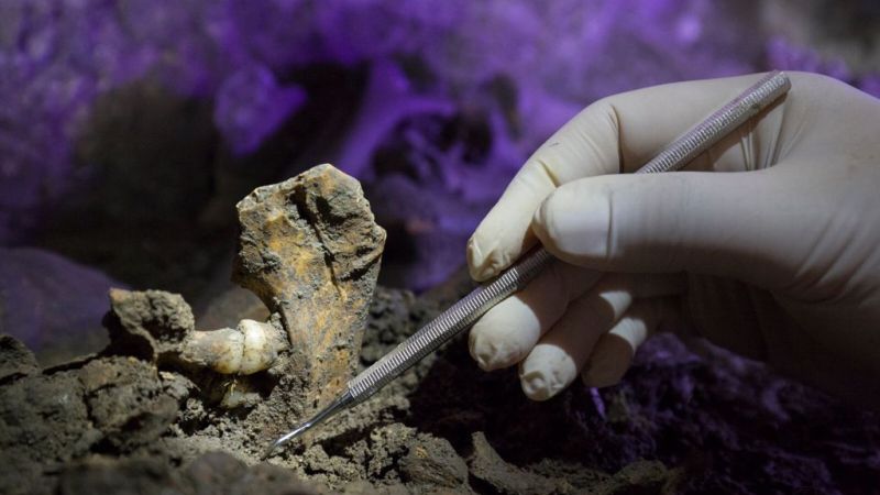 Grotta di Pietra Sant’Angelo, un gruppo di ricercatori ricostruisce lo stile di vita e di salute dell’uomo del Neolitico