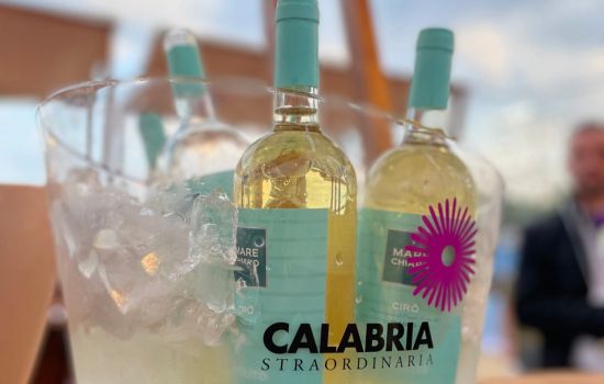 vinitaly 18 6fa3d923 - Meraviglie di Calabria - 9