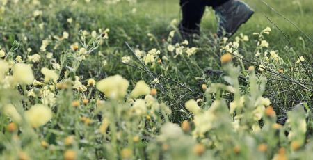 foraging 4 70eb80c5 - Meraviglie di Calabria - 37
