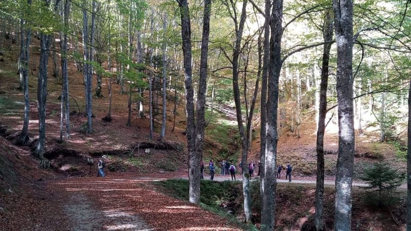 “Foresta Incantata”, nasce in Sila un sentiero terapeutico certificato