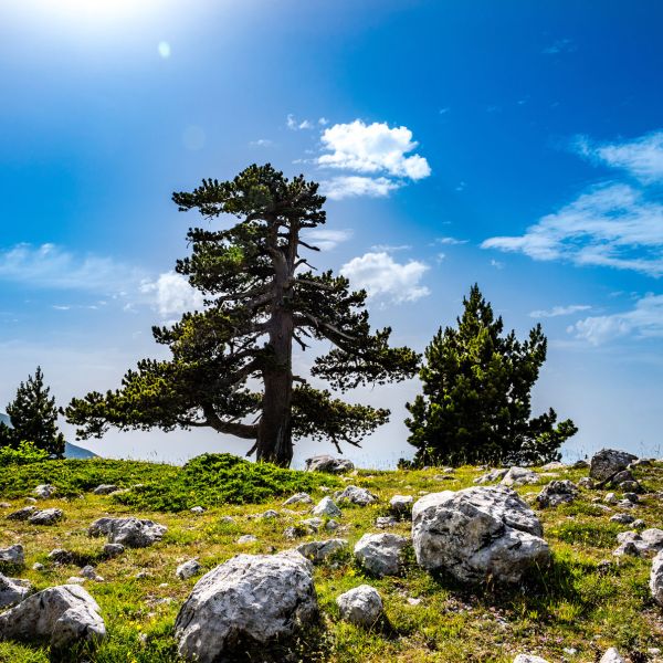 Montagna e comunità protette, nasce il Premio “Custodi del Pollino”