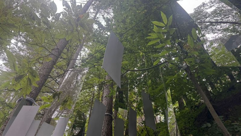 Ecoritmi Culturali, si chiude il festival nel cuore della Sila