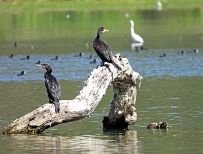Riserve Naturali di Tarsia e Foce del Crati destinazioni esperienziali