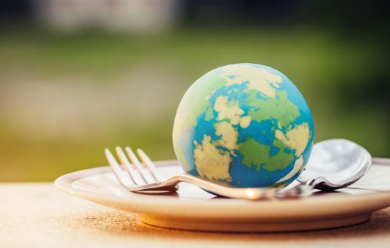 Terra sostenibilita ambientale alimentazione 721d9cf7 - Meraviglie di Calabria - 1