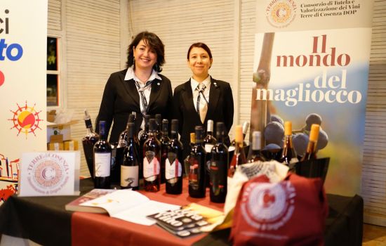 WhatsApp Image 2024 11 03 at 11.33.42 73081ed6 - Meraviglie di Calabria - 13