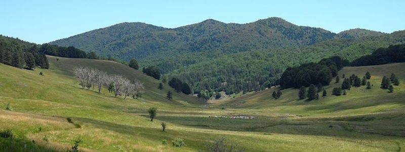 La Valle del Tacina, un tesoro verde nella Sila Piccola