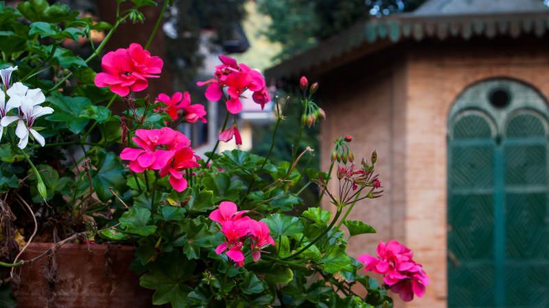 Landscape Cittanova 759edd05 - Fine del Ramadan, a Cittanova la giornata interculturale - 1 Fine del Ramadan, a Cittanova la giornata interculturale