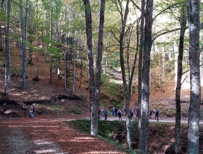 “Foresta Incantata”, nasce in Sila un sentiero terapeutico certificato