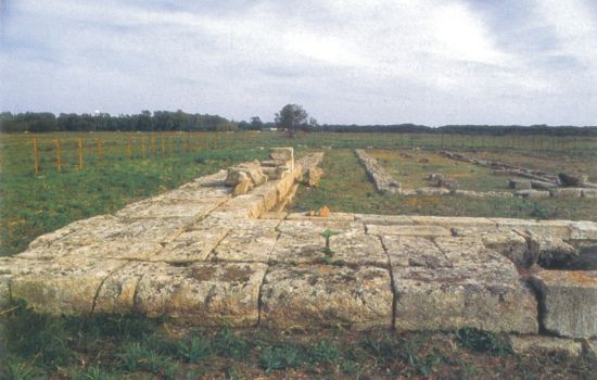 25 CiroMarina REL SPECIALISTICHE 1 768600da - Meraviglie di Calabria - 37