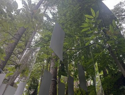 Ecoritmi Culturali, si chiude il festival nel cuore della Sila