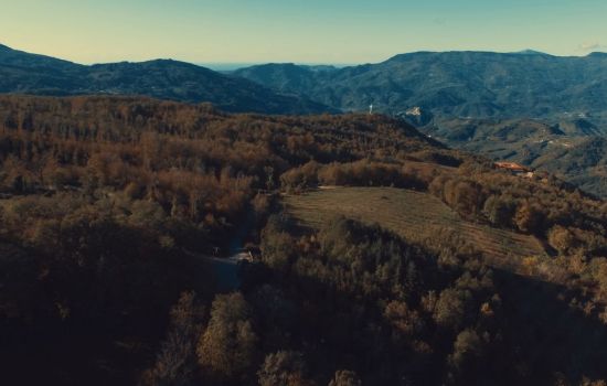 Patrimonio naturalistico Conflenti 77e273b9 - Meraviglie di Calabria - 27