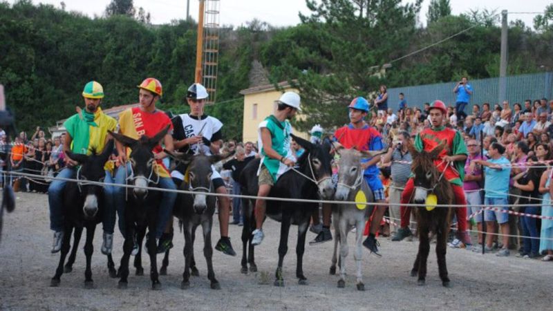 Laino Borgo: XXV Edizione del Palio Cu i Ciucci