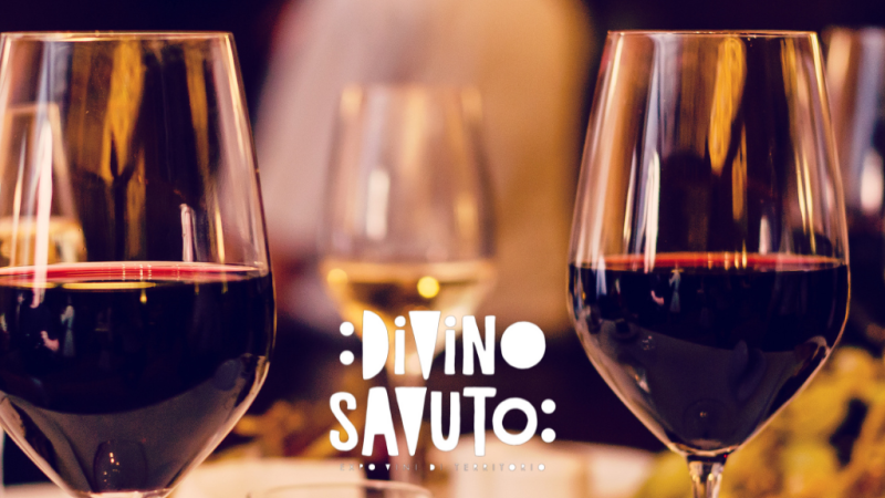 Divino Savuto 1 787fa15a - Divino Savuto, dal 16 al 21 dicembre un viaggio tra eccellenze calabresi - 1 Divino Savuto, dal 16 al 21 dicembre un viaggio tra eccellenze calabresi