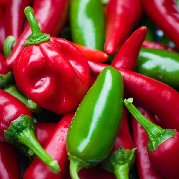 Da stasera grande festa a Diamante per la trentaduesima edizione del Peperoncino Festival
