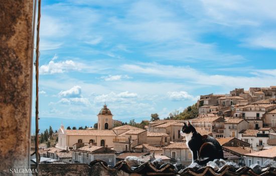 Salgemma Lungro Festival Lungro panorama 781b5959 - Meraviglie di Calabria - 5