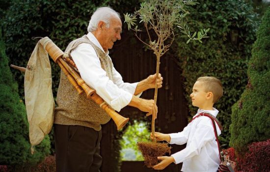 manifesto La Calabria delle Radici cover 787b4362 - Meraviglie di Calabria - 1