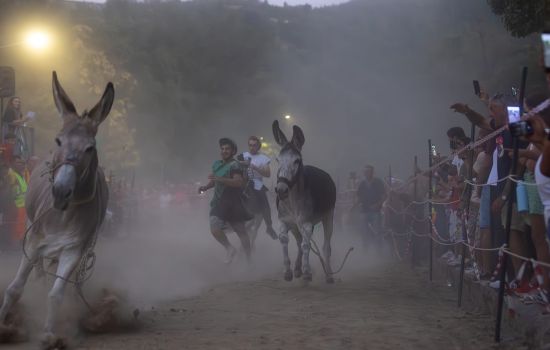 Laino Borgo Palio dei ciucci 11 foto Ladaga Biagio 79796082 - Meraviglie di Calabria - 11