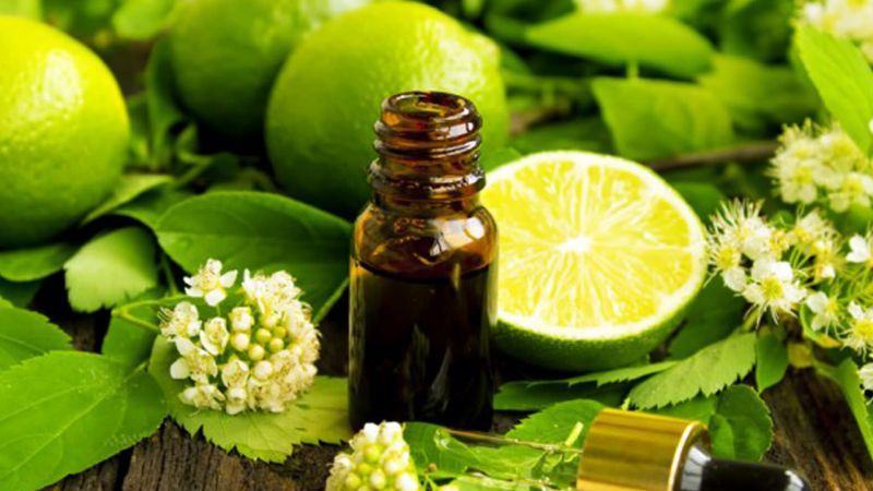 Profumi femminili? Per Marie Claire quelli al bergamotto di Calabria tra i migliori