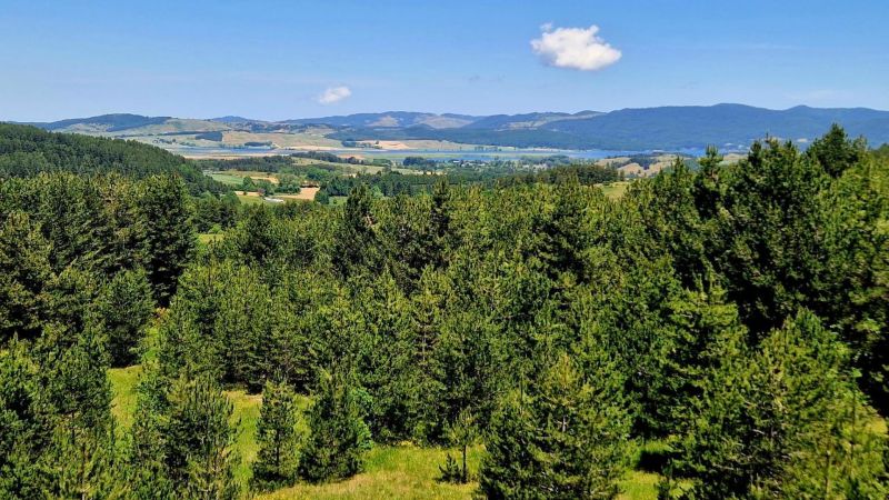 Sere FAI d’Estate in Sila: trekking, musica e i racconti delle stelle