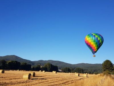 Parte Transumanze Sila Festival, tanti spettacoli e attività per l’estate