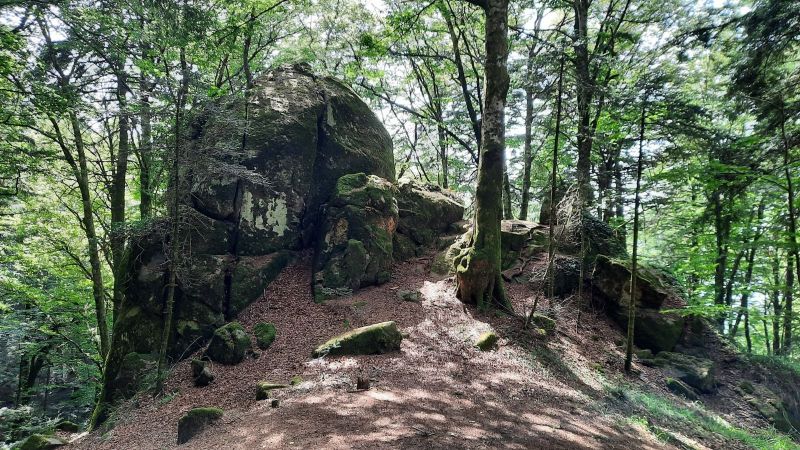 Il successo della Ciclovia dei Parchi in Calabria: facciamo tappa nel Bosco Archiforo [FOTO]