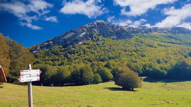 parco nazionale pollino 7be218db - Calabria, una meta bellissima per i ponti di primavera - 1 Calabria, una meta bellissima per i ponti di primavera