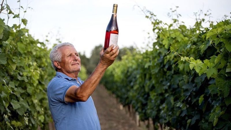 vaf soverato 2 7bd8316f - Soverato, vignaioli e vino artigianale al VAF Vivendu Artigiani in Fiera - 1 Soverato, vignaioli e vino artigianale al VAF Vivendu Artigiani in Fiera