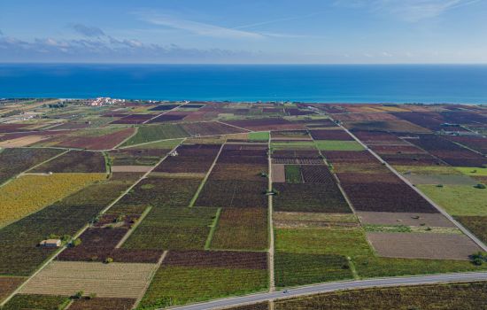 vigneti ciro 7bb63344 - Meraviglie di Calabria - 9