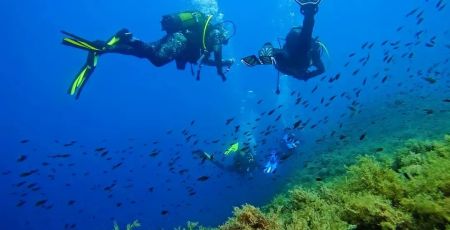 Mare sub Ph @francescoilmicio 7c840988 - Meraviglie di Calabria - 19