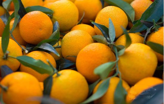 Clementine 0 7dfa61d6 - Meraviglie di Calabria - 1