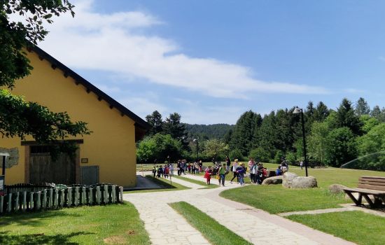 Sila Cupone 1 7d6c7a08 - Meraviglie di Calabria - 1