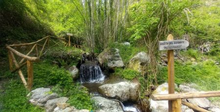 Sila Trekking sentiero del brigante cover 7d1c531b - Meraviglie di Calabria - 23