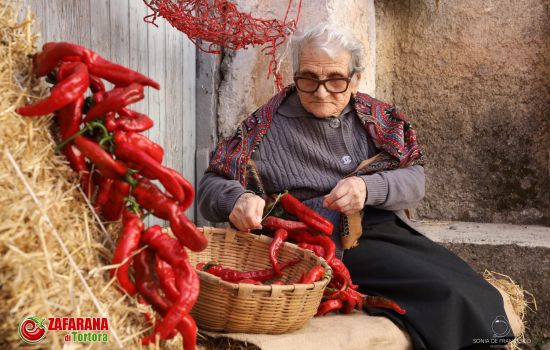 zafarani cruschi 3 7d85a254 - Meraviglie di Calabria - 1