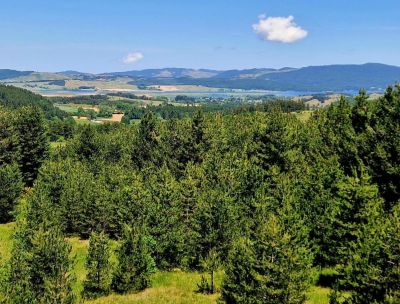 Sere FAI d’Estate in Sila: trekking, musica e i racconti delle stelle