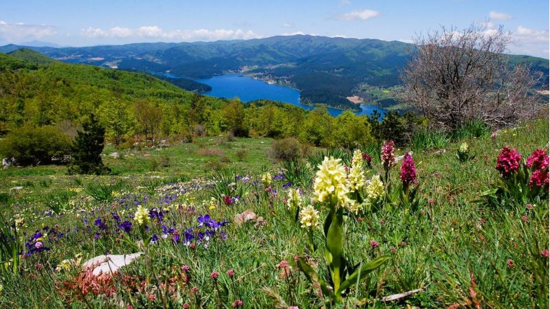 Sila lago fioritura 7f871759 - Primavera in Sila, le attività outdoor tra Pasqua e il 25 aprile - 1 Primavera in Sila, le attività outdoor tra Pasqua e il 25 aprile