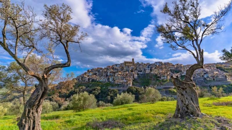 A Palazzo Gallelli di Badolato due mostre raccontano la Calabria